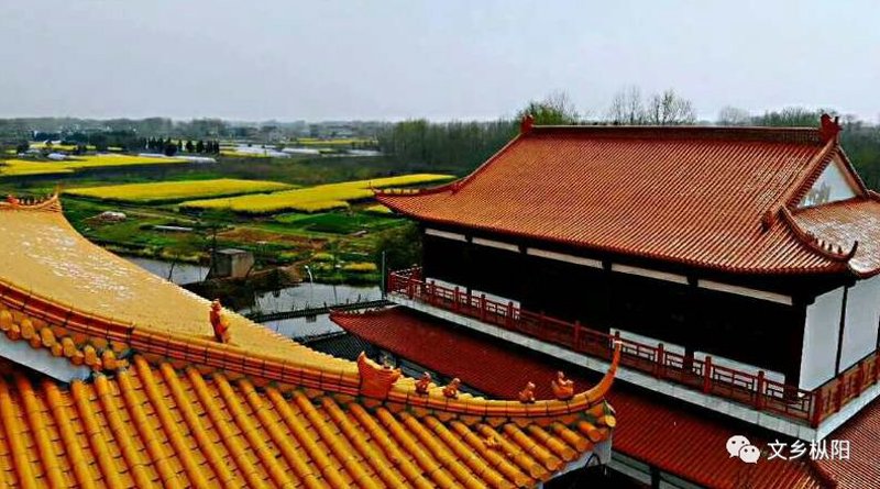 枞阳佛教协会官网:连接信仰与世界的桥梁